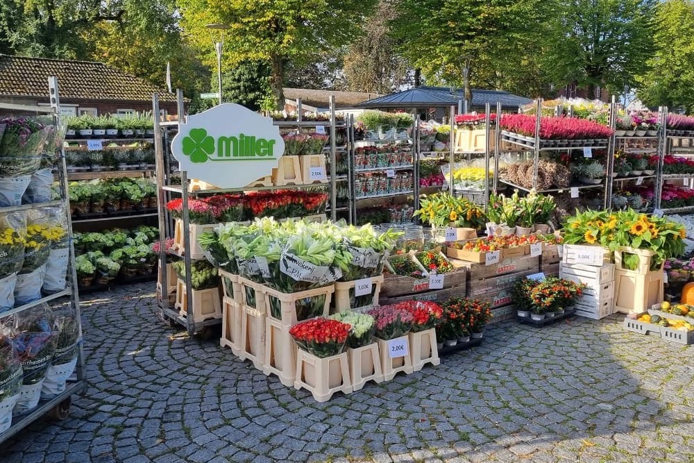 Sommersträuße sind da